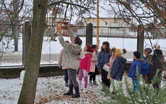 Erdő az iskolában- erdőpedagógiai foglalkozás